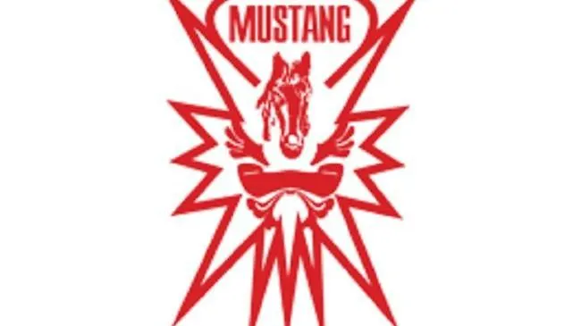 Hotel Mustang Vasqarr 4*,
