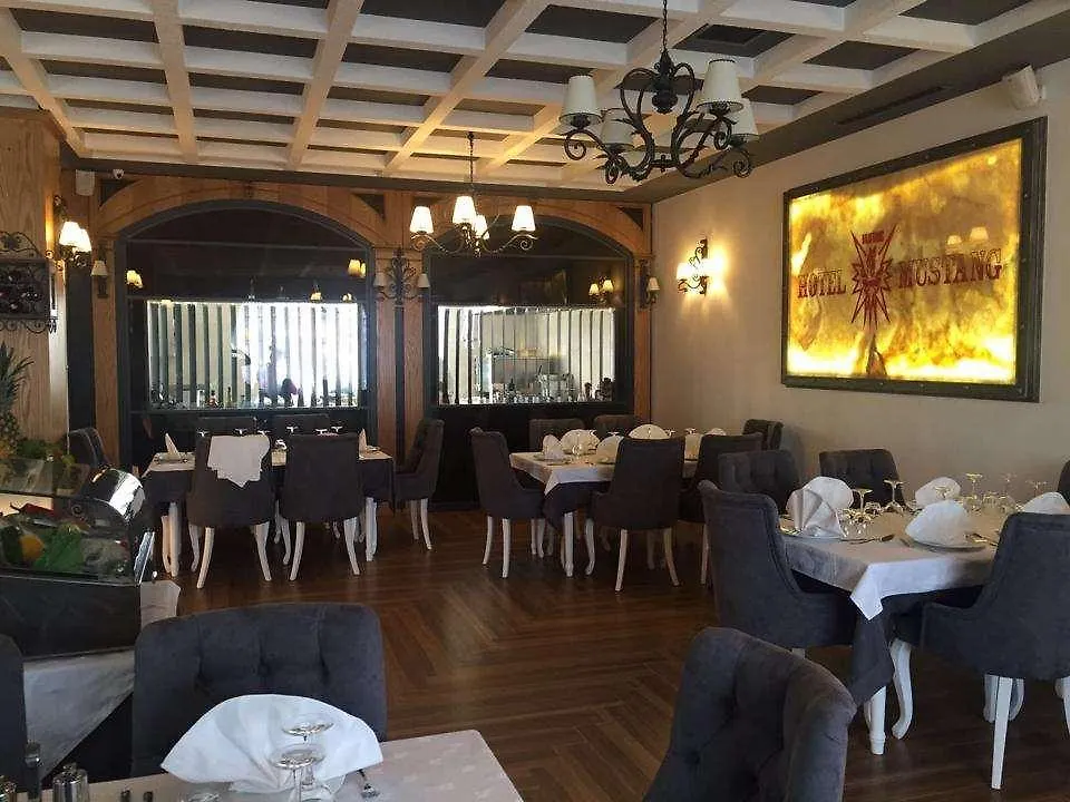 Hotel Mustang Vasqarr